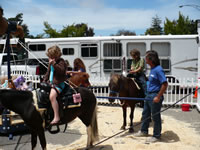 Pony Rides