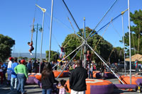 Bungee Trampoline