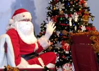 Santa - Berkeley Wonderland