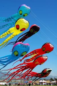Berkeley Kite Festival octipile kites