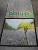 Dandelion - sidewalk chalk art