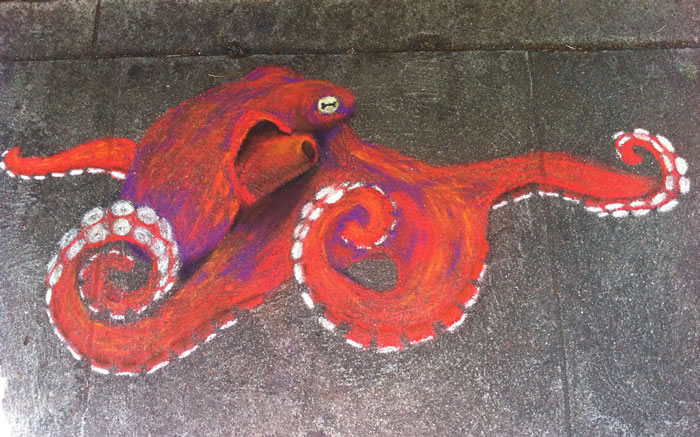 Runner Up - “Giant Pacific Octopus” by Tera Levin